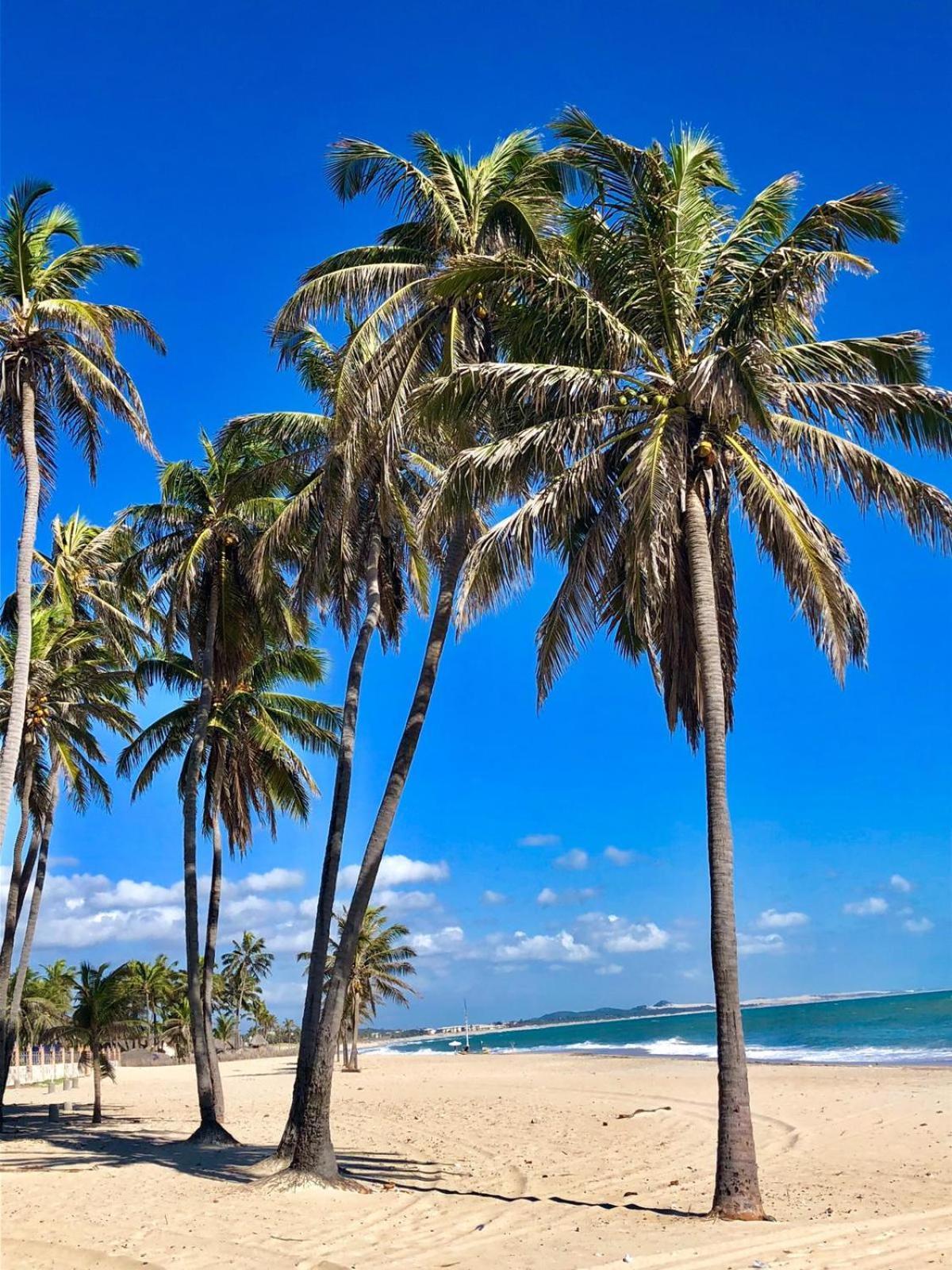 Wind Villa Cumbuco - Apartamento Luaran gambar